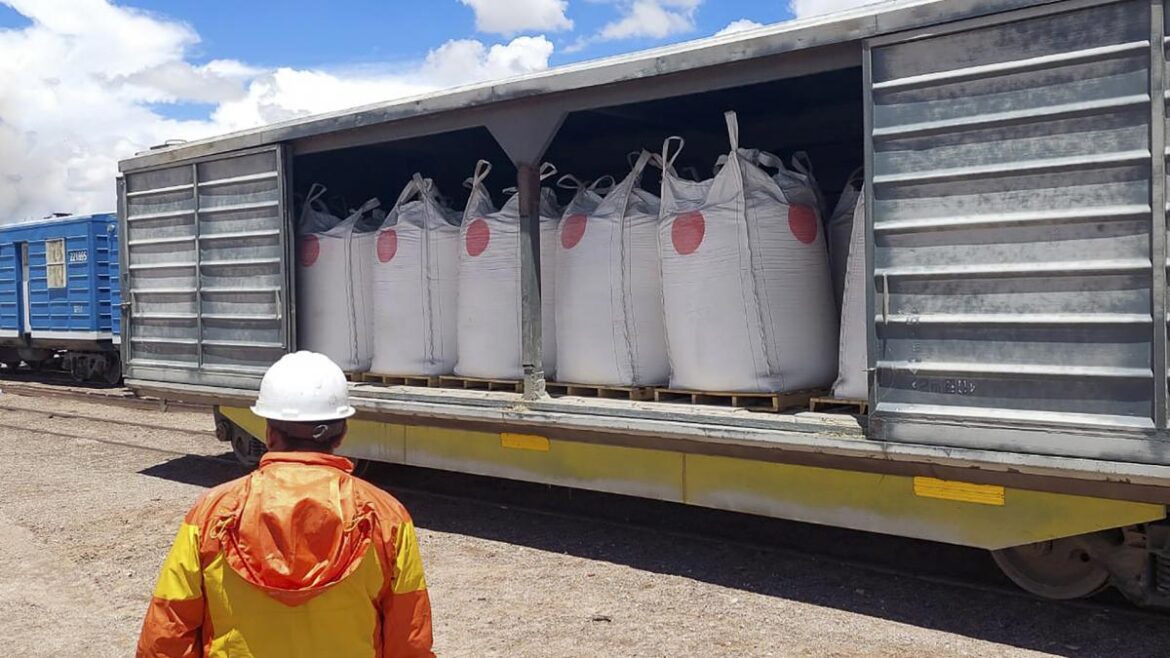 Trenes Argentinos comenzó la prueba para transportar litio y cobre de Buenos Aires a la puna