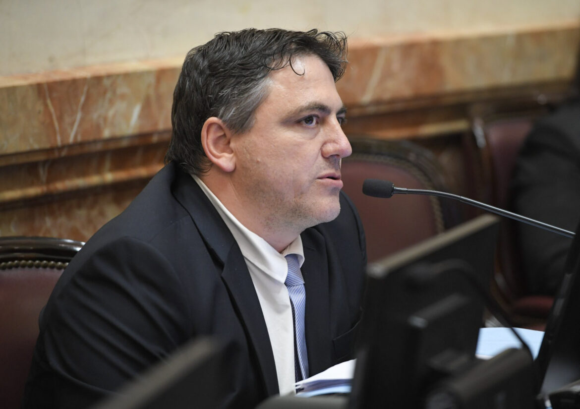 Formosa: presentan un proyecto en la Legislatura para impulsar la generación de energía renovable